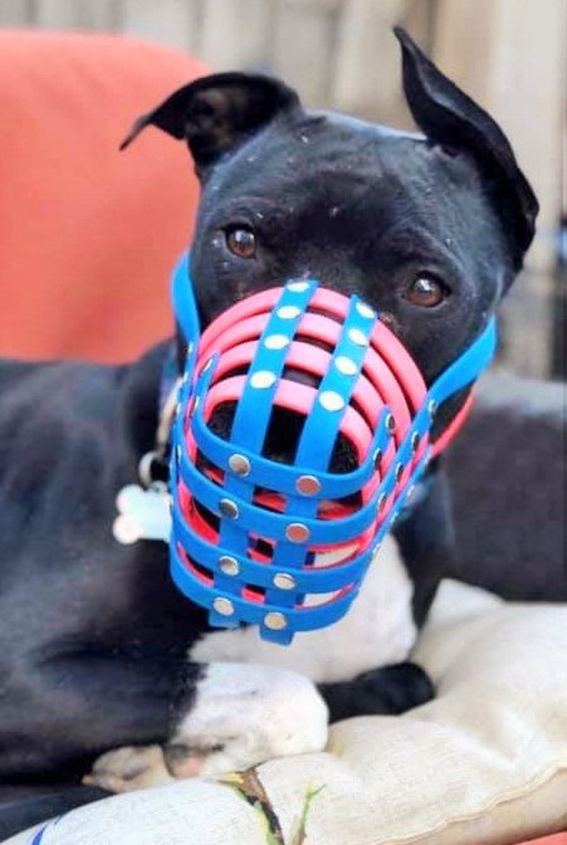 Biothane Basket Dog Muzzle Adjustable More Secure Extra Etsy