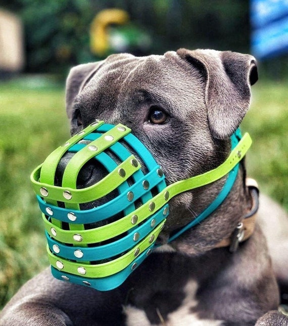 Extra large dog muzzle online