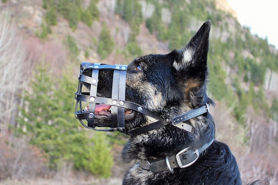 extra small basket muzzle