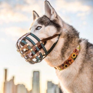Biothane Basket Dog Muzzle - Adjustable - Extra Small to Extra Large - Handmade -  Training - Level One