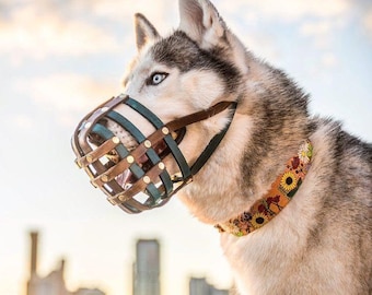 Biothane Basket Dog Muzzle - Adjustable - Extra Small to Extra Large - Handmade -  Training - Level One