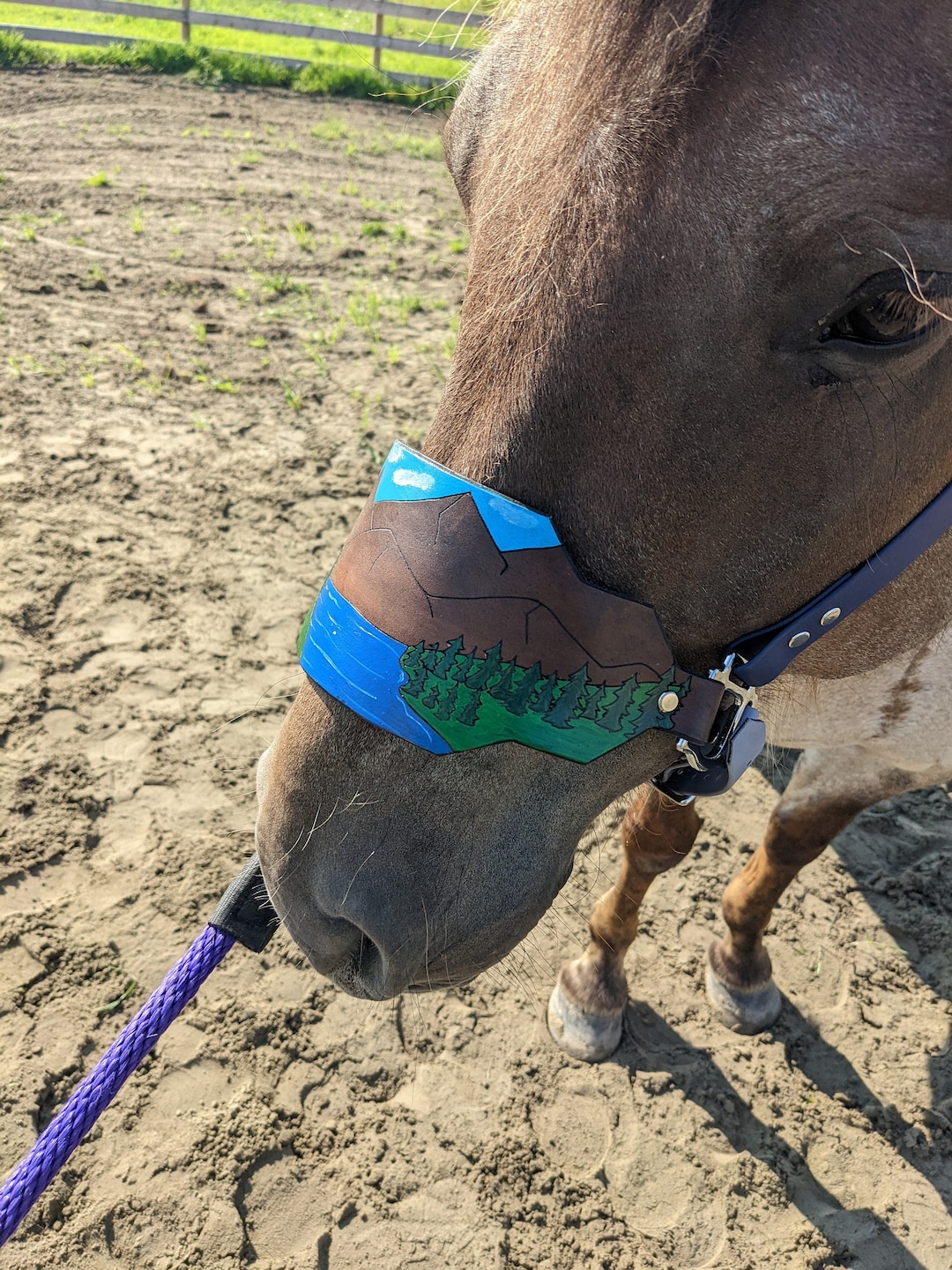 Biothane Horse Halter With Leather Mountainnose Band - Custom Halter ...