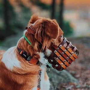 Leather Basket Dog Muzzle for Bite risk - Adjustable - Extra Small to Extra Large - Handmade -  Training - Level Two