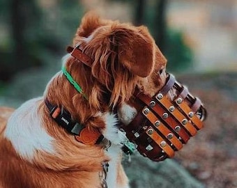 Leather Basket Dog Muzzle for Bite risk - Adjustable - Extra Small to Extra Large - Handmade -  Training - Level Two