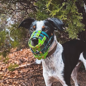 Biothane Basket Dog Muzzle open nose - Adjustable - Extra Small to Extra Large - Handmade -  Training- Level one