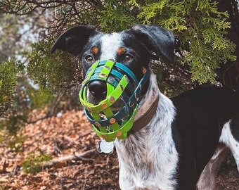 Biothane Basket Dog Muzzle open nose - Adjustable - Extra Small to Extra Large - Handmade -  Training- Level one