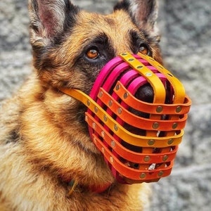 Leather Basket Dog Muzzle for Bite risk - Adjustable - Extra Small to Extra Large - Handmade -  Training - Level Two