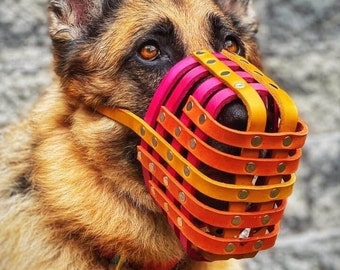 Leather Basket Dog Muzzle for Bite risk - Adjustable - Extra Small to Extra Large - Handmade -  Training - Level Two