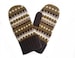 Warm Bernie mittens. Bernie meme inspired mittens worn on Inauguration Day. 