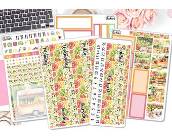 New! - 7x9 Daily Duo 2025 Weekly Kit - Sunshine Sorbet - Summer - Stickers - Planner Stickers EC DD Planner DD-00122DD7x9