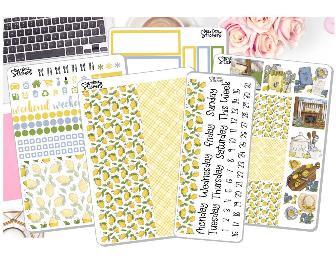 7x9 2021-2022 Daily Duo Weekly Kit Lemonade Stand Planner Stickers EC ...