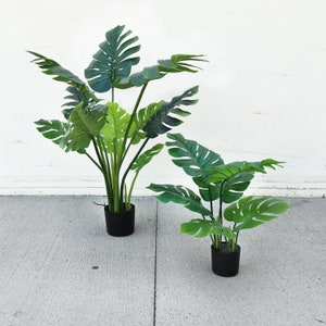 Silk Philodendron - Etsy