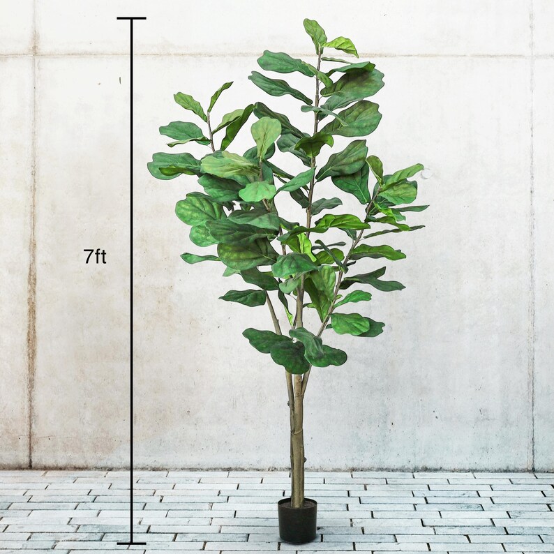 May include: An artificial fiddle leaf fig tree, approximately 213cm tall, in a black pot. The tree features large, green leaves and a brown trunk. The background is white and grey.