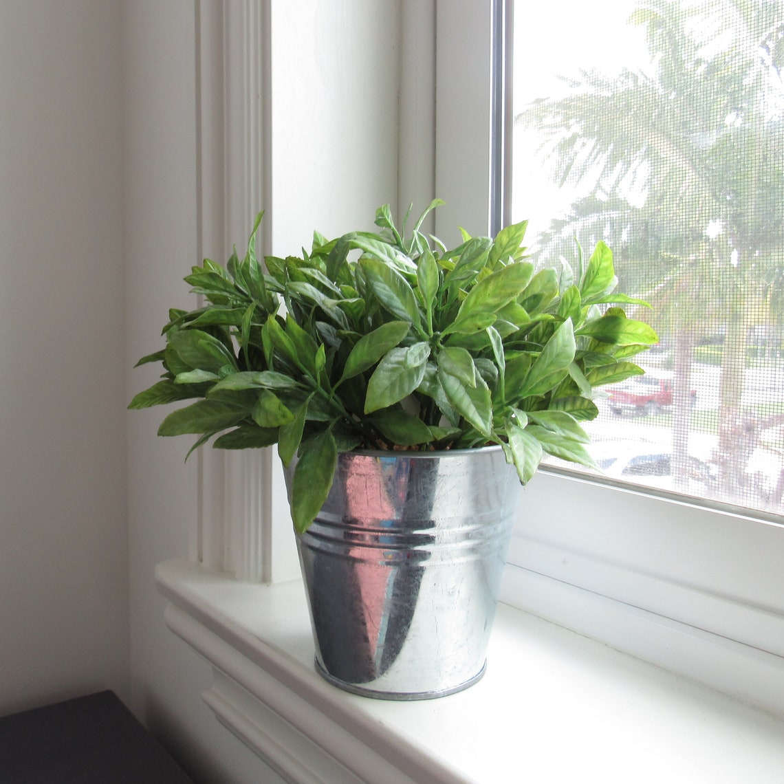 Pick 2 Artificial Herb Plants in Metal Pot Faux Sage Basil Etsy