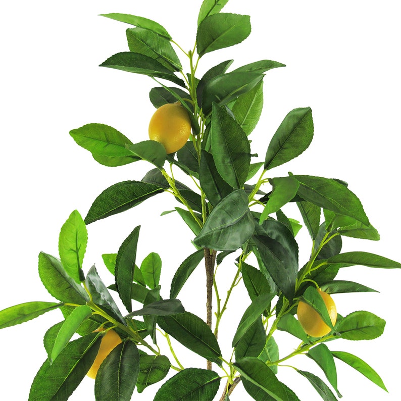 Real Touch Artificial Lemon Tree in Black Pot Faux Lemon - Etsy