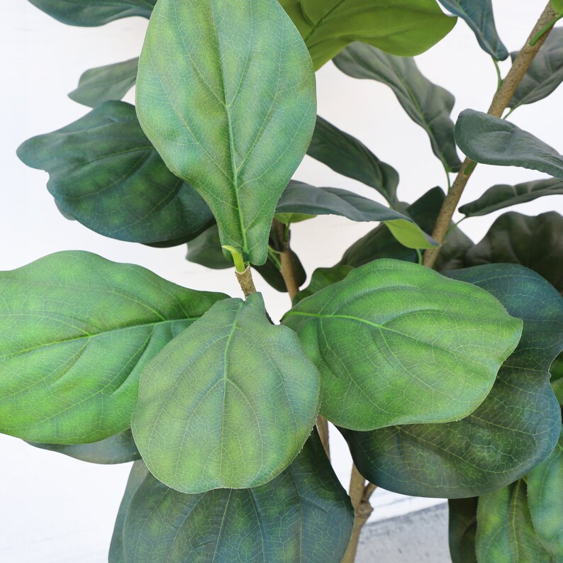 May include: A close-up of a faux fiddle leaf fig plant. The image shows large, textured green leaves with detailed veining. The plant's branches are light brown, and the background is plain white, creating a contrast with the foliage.