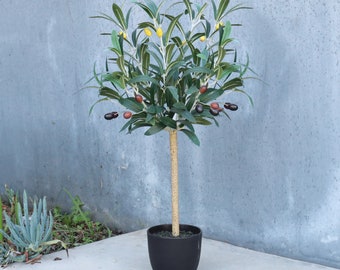 24in Artificial Olive Tree in Black Pot | Fake Small Faux Olive Tree | Realistic Fake Olive Tree Silk Plant | Home Office Desk Plant Potted