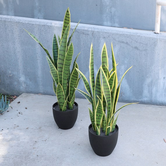 26in, 34in Artificial Sansevieria Snake Plant in Black Pot Faux