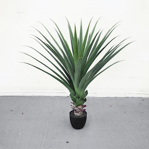 48in. Artificial Agave Succulent Plant in Black Pot | Faux Succulent Agave Plant | Realistic Fake Tree Silk Plant | Home Office Plant Pot