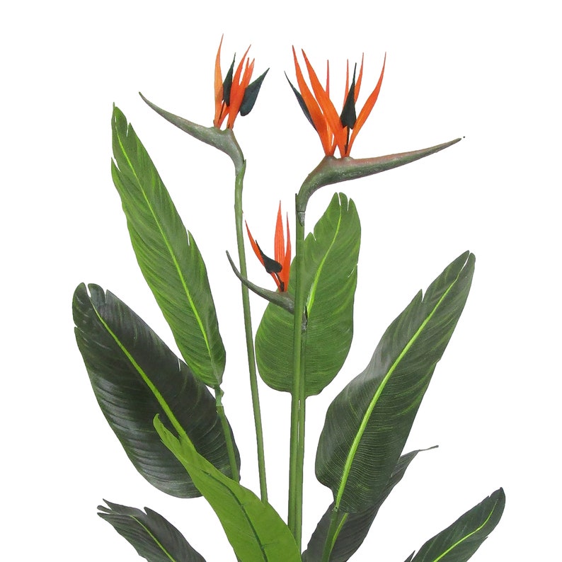 Artificial Bird of Paradise Plant Tropical Flowering Palm Tree Etsy