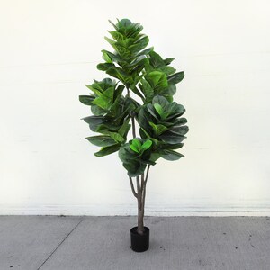 May include: A large artificial fiddle leaf fig tree in a black pot. The tree has multiple branches with large, green leaves.