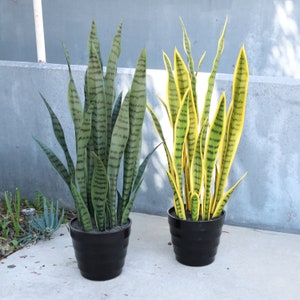 32in Artificial Sansevieria Snake Plant in Black Pot | Faux Snake Plant | Realistic Fake Tree Greenery Silk Plant | Home Office Plant Potted