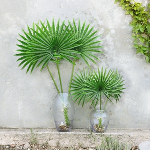 Set of 3 | Artificial Tropical Fan Palm Leaf Stem | Real Touch Faux Palm Leaf Branch | Fake Greenery Foliage Spray Plant | Home Office Plant