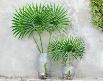 Set of 3 | Artificial Tropical Fan Palm Leaf Stem | Real Touch Faux Palm Leaf Branch | Fake Greenery Foliage Spray Plant | Home Office Plant