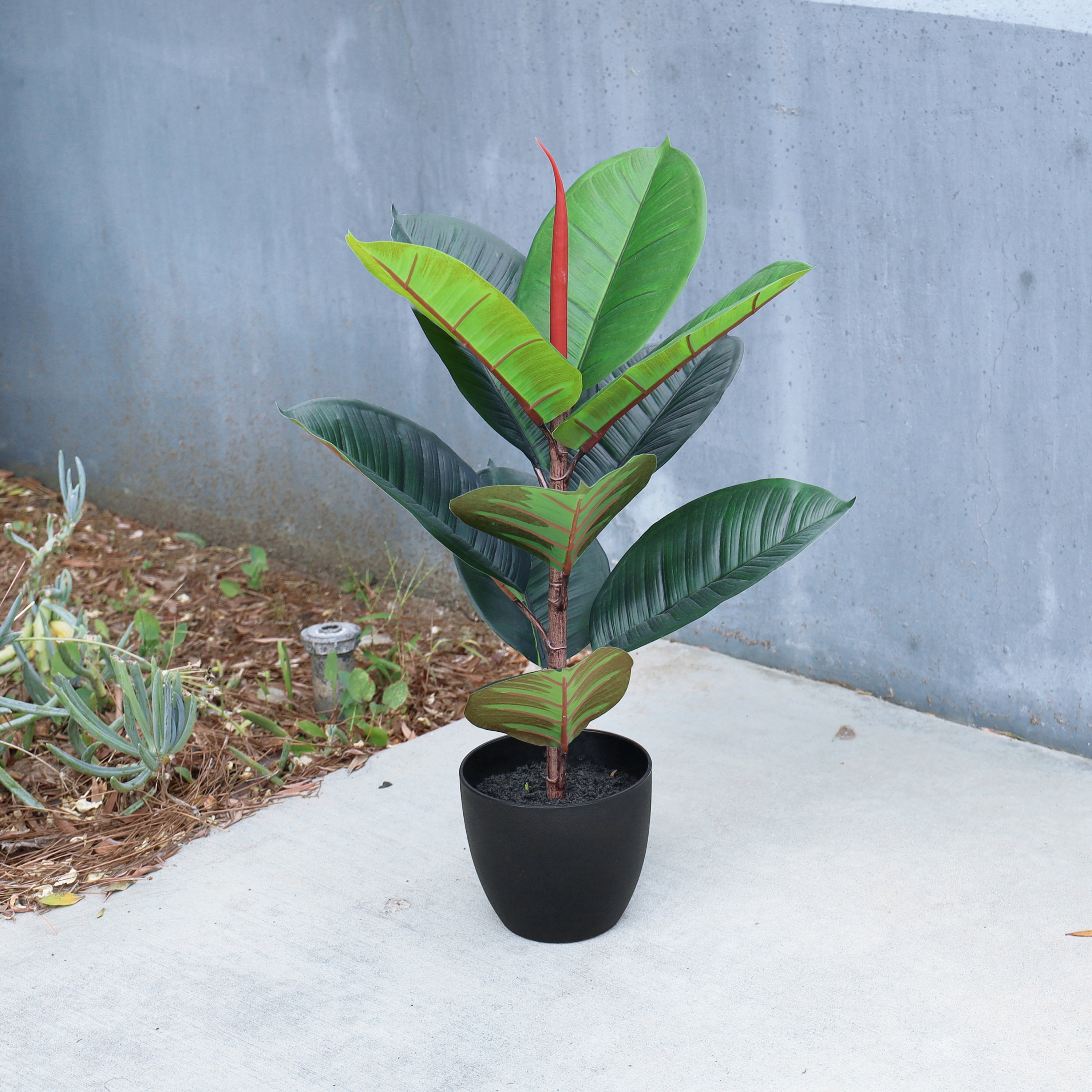 Real Touch Artificial Rubber Plant Fig Leaf Tree in Black Pot | Faux Rubber  Leaf Tree | Realistic Fake Tree Silk Plant | Home Office Plant - Etsy