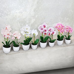 Pick Any 2! Artificial Phalaenopsis Orchid Flower Arrangement in White Pot | Fake Flowers Home Decor | Faux Silk Orchid Floral Arrangement