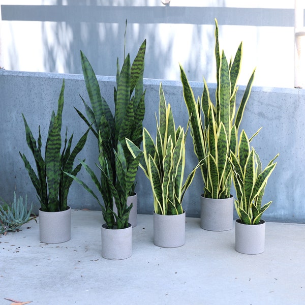 18in, 25in, 36in Artificial Sansevieria Snake Plant in Grey Pot | Faux Snake Plant | Realistic Fake Tree Silk Plant | Home Office Plant Pot