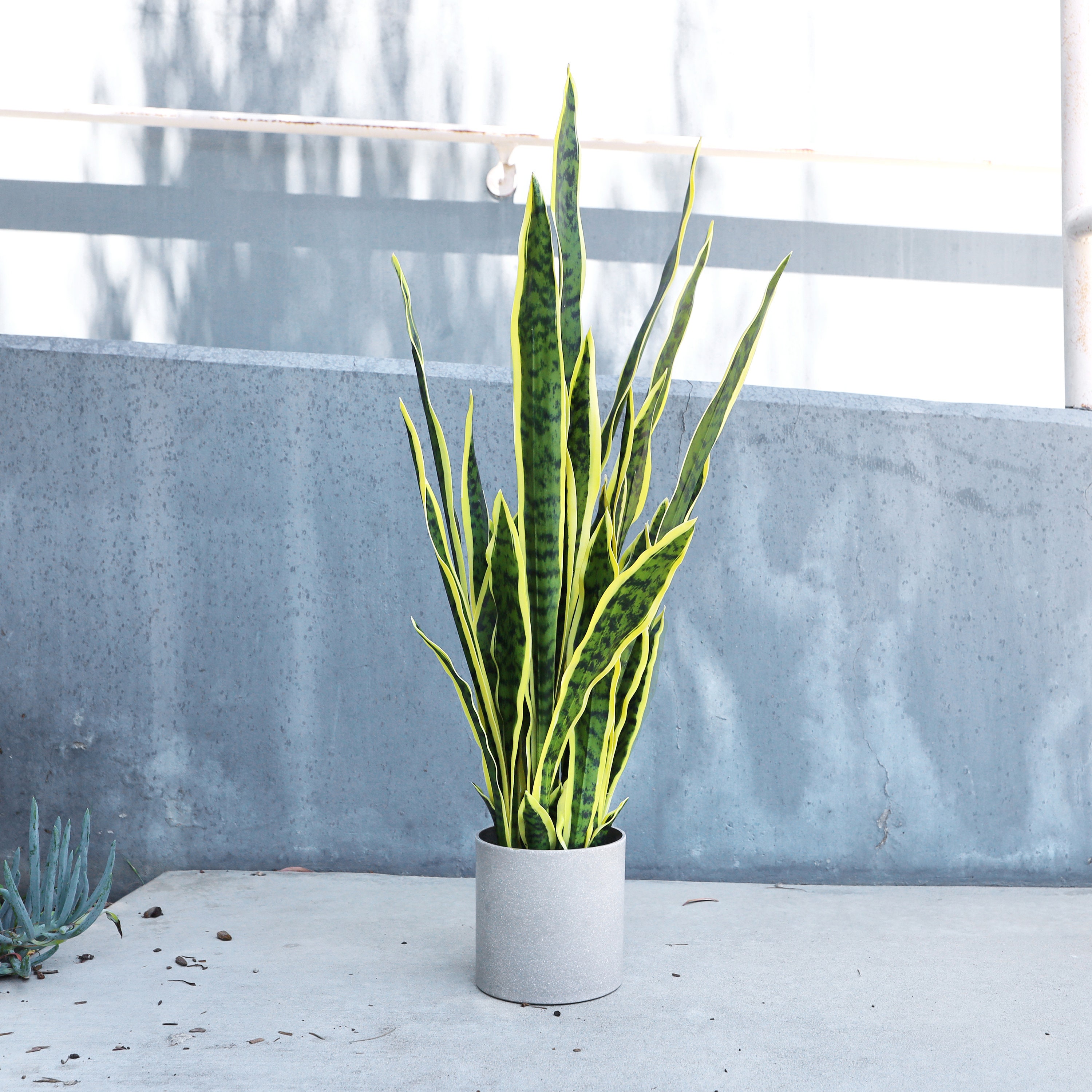 18in, 25in, 36in Artificial Sansevieria Snake Plant in Grey Pot | Faux Snake  Plant | Realistic Fake Tree Silk Plant | Home Office Plant Pot - Etsy