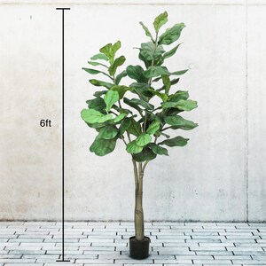 May include: An artificial Fiddle Leaf Fig tree, approximately 183cm tall, in a black pot. The tree features large, green leaves and a brown trunk. It stands against a white wall and a brick-patterned floor.
