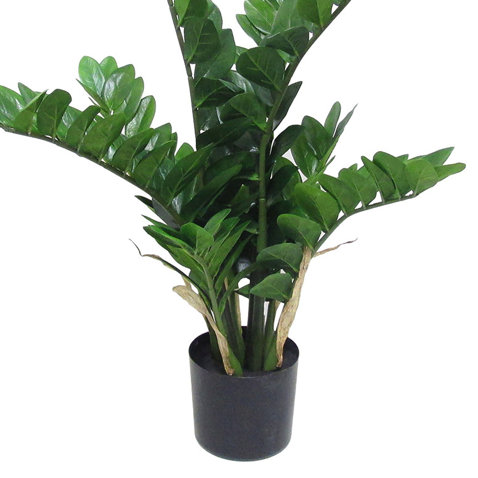 28in 34in Artificial Zamioculcas Zamiifolia ZZ Plant in Black Etsy
