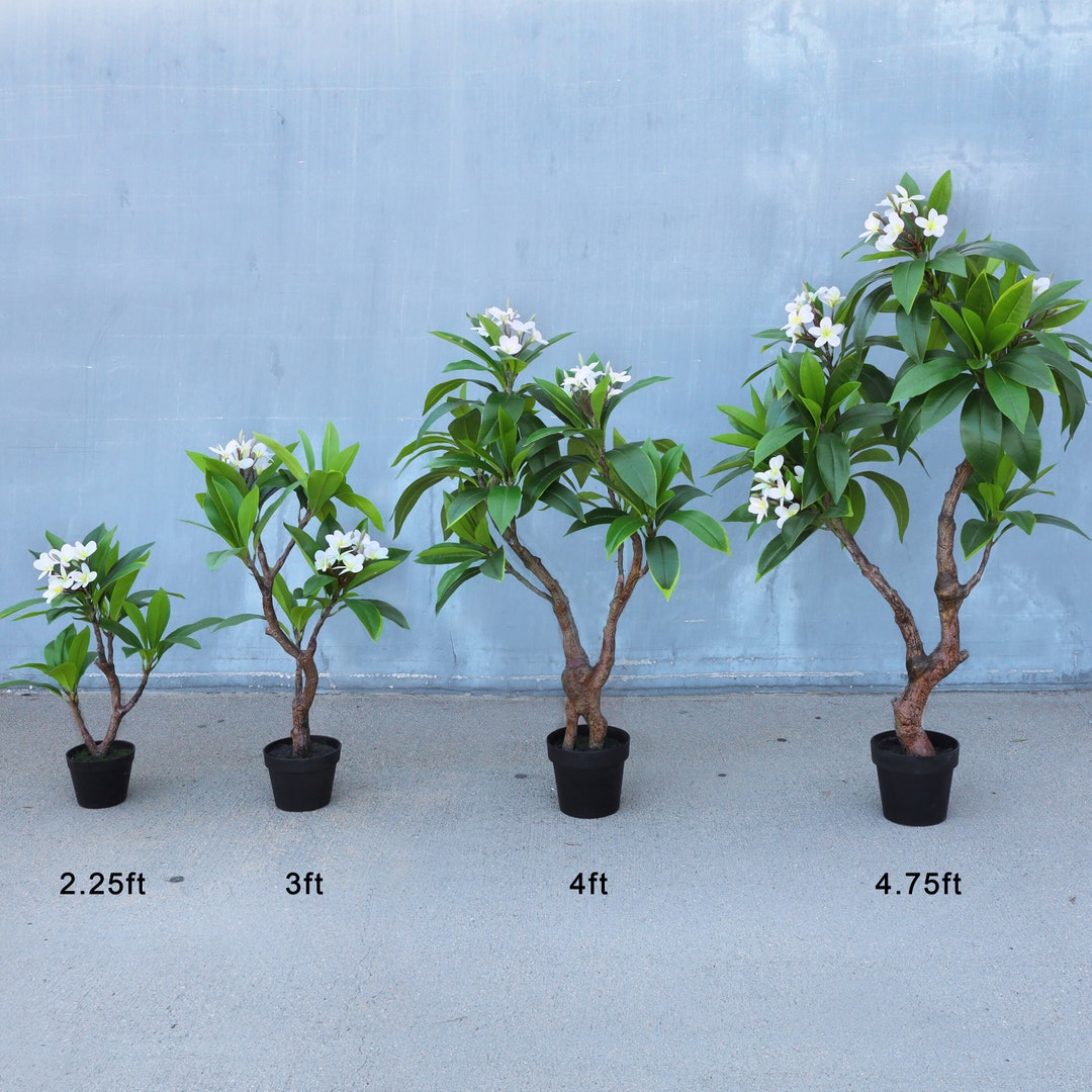 Artificial Tropical Plumeria Flower Tree Cream Fake Plant Faux Plumeria