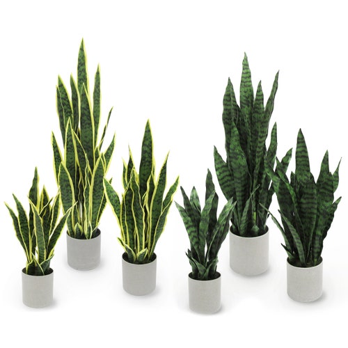 26in 34in Artificial Sansevieria Snake Plant in Black Pot Etsy