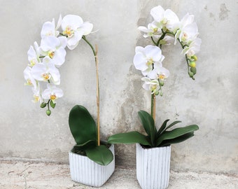 Artificial Phalaenopsis Orchid Flower Arrangement in Embossed Stripe Ceramic Pot | Flower for Home Decor Faux Silk Orchid Floral Arrangement