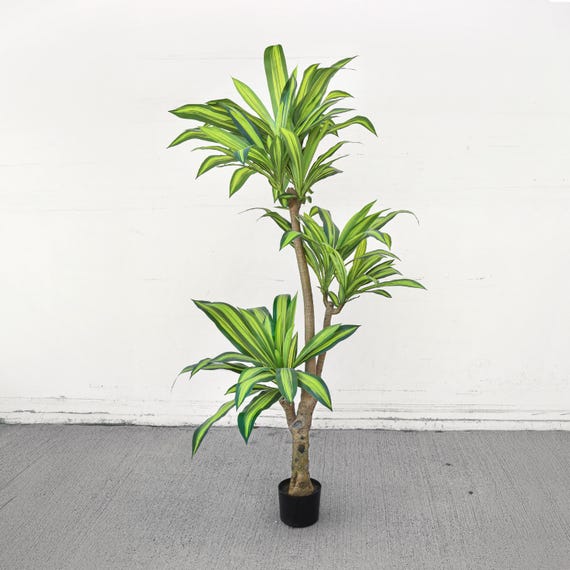 6ft Real Touch Artificial Dracaena Tree in Black Pot | Fake Dracaena Tree  Realistic Fake Plant in Pot Silk Faux Tree Tall Home Office Plant