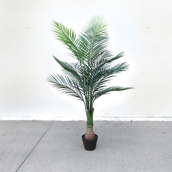 self watering for indoor plants Soma Compact Self-Watering Planter – Up to a Month main image 0