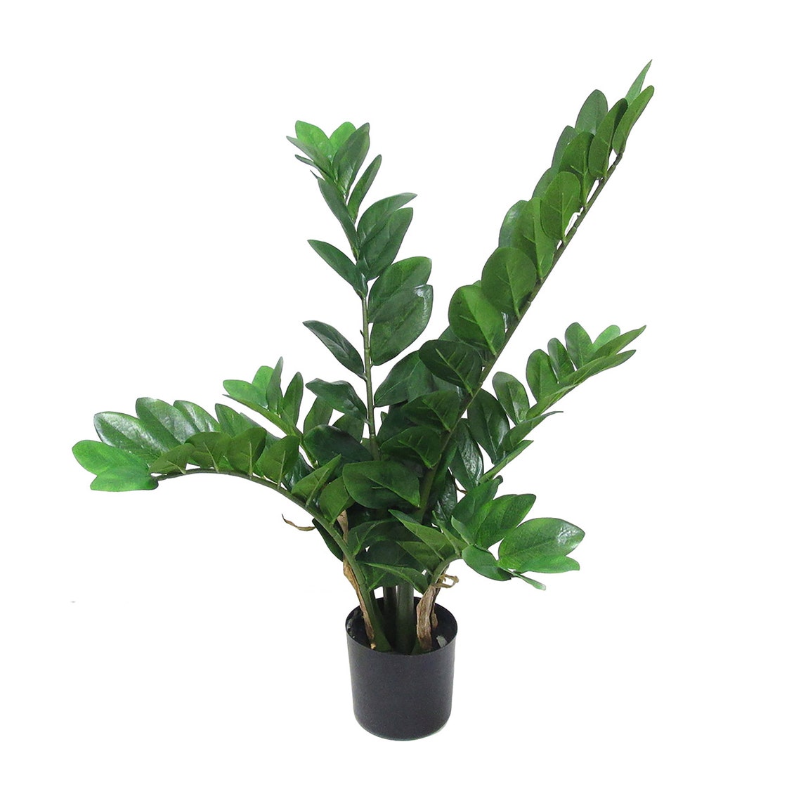 28in 34in Artificial Zamioculcas Zamiifolia ZZ Plant in Black Etsy
