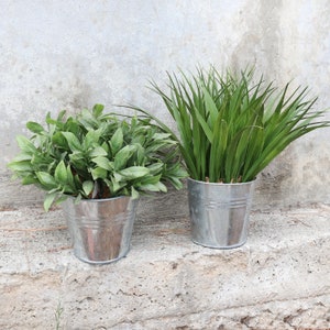 Pick 2!! Artificial Herb Plants in Metal Pot | Faux Sage Basil Wheat Grass | Table Top Desktop Kitchen Plant | Home Office Apartment Plant