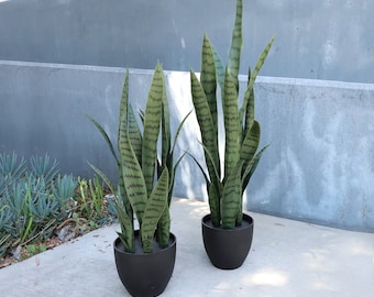 low plant stand indoor Iron Low Plant Stand