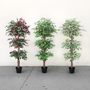 May include: Three artificial potted trees with different colored leaves. The tree on the left has burgundy leaves, the middle tree has green leaves, and the tree on the right has green and white leaves.