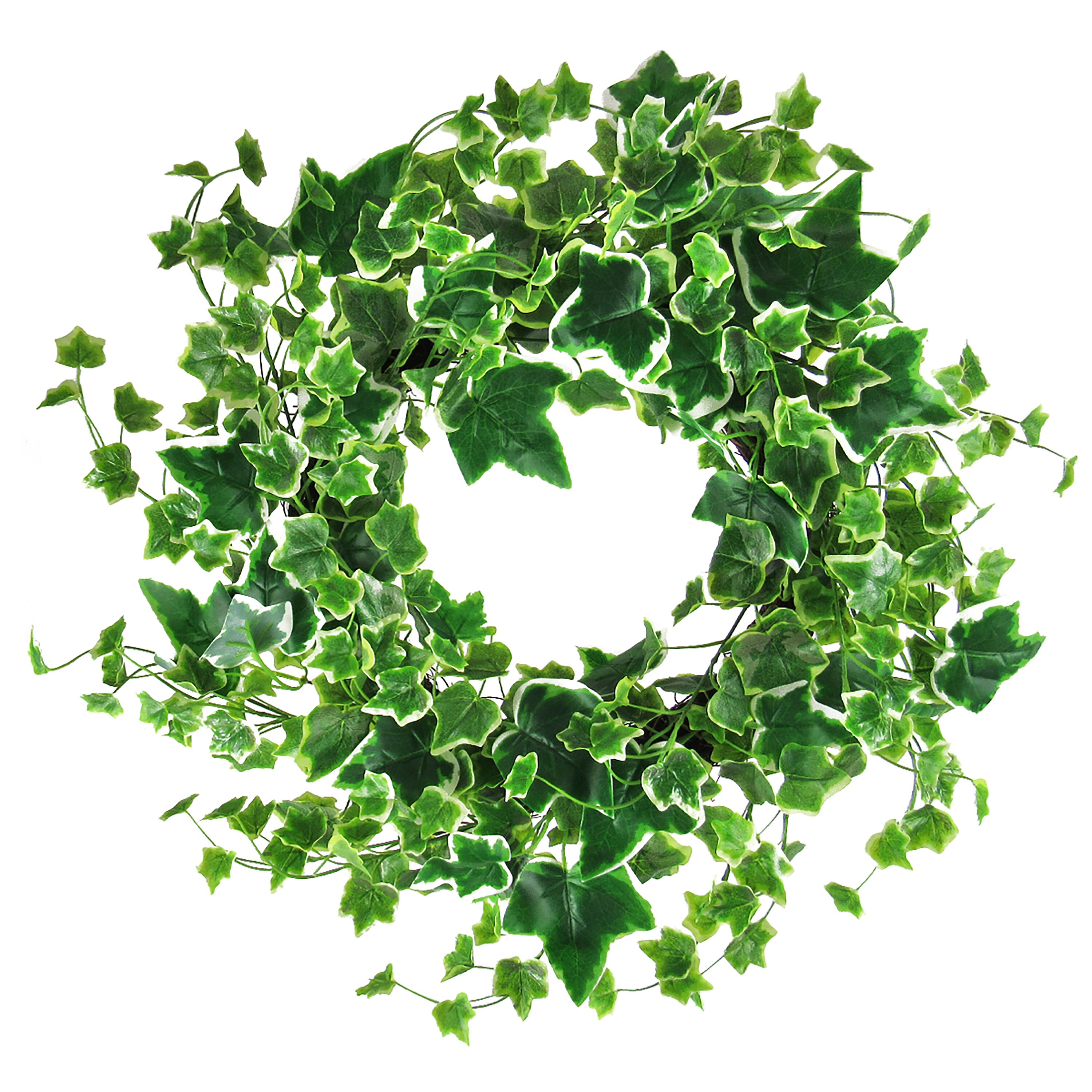 Artificial Ivy Wreath Foliage Leaf Wreath Twig Ring 22in Etsy