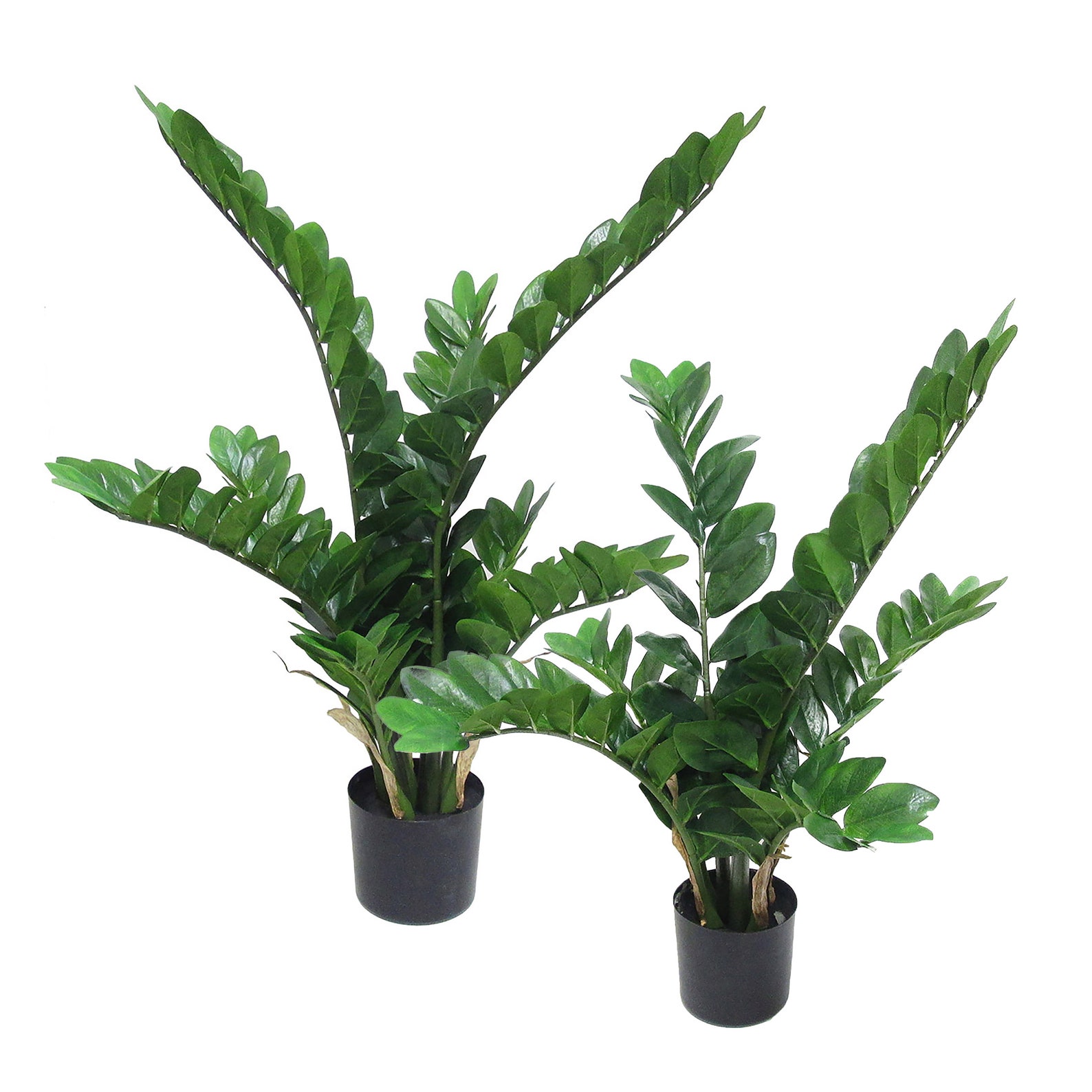 28in 34in Artificial Zamioculcas Zamiifolia ZZ Plant in Black Etsy