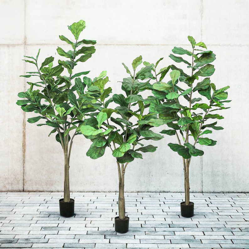 May include: Three artificial fiddle leaf fig trees with vibrant green leaves and brown trunks. Each tree is in a black pot. The trees are set against a light grey concrete wall and a grey brick floor.