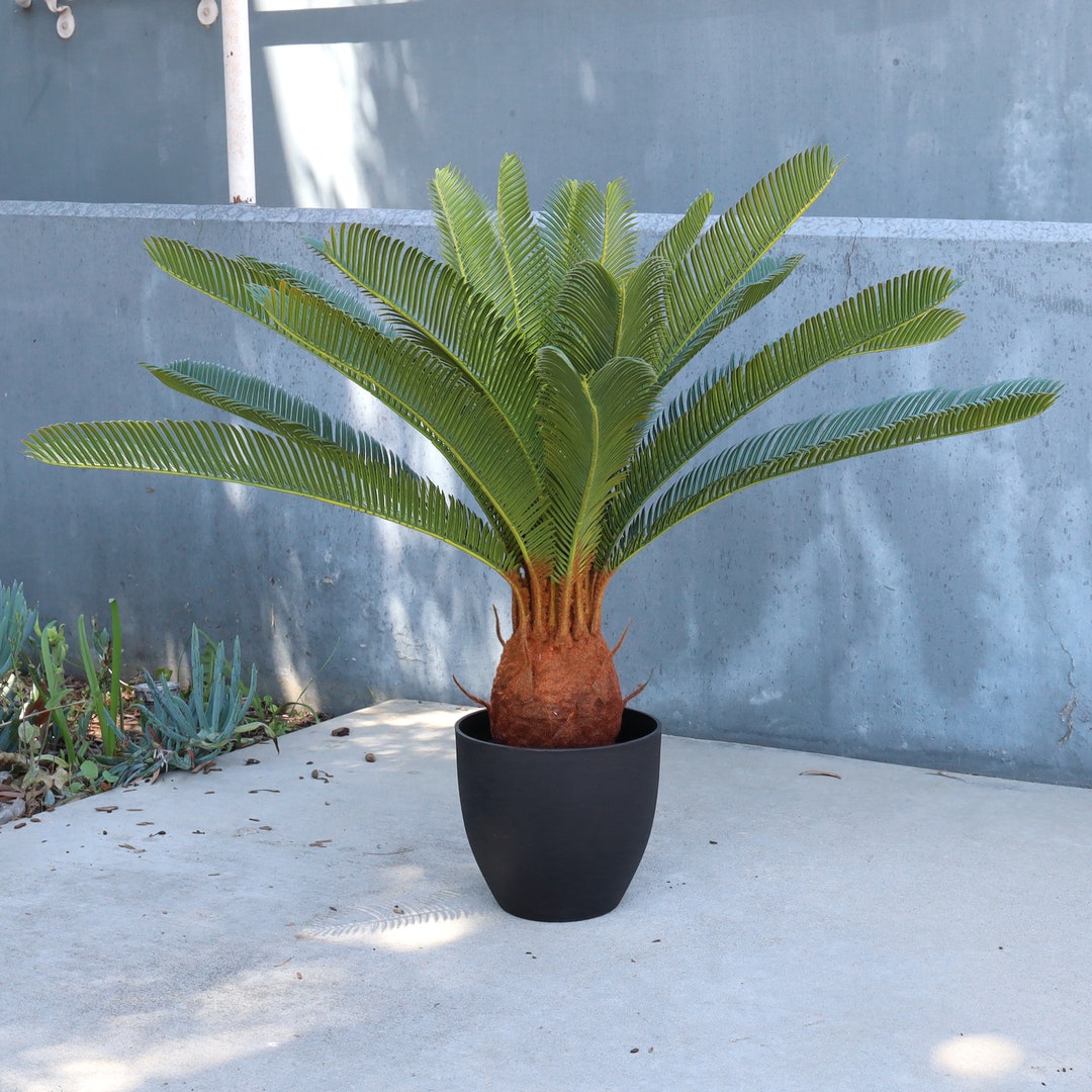28in Artificial Sago Cycas Palm Tree in Black Pot Tropical Fake Faux Palm Tree Realistic Fake