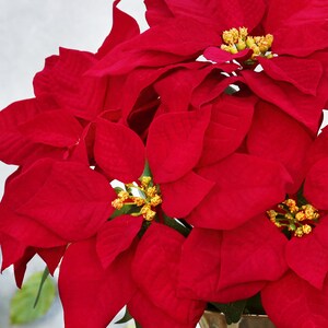 Set of 2 | 20in Artificial Christmas Poinsettia Flower Bush | Faux ...