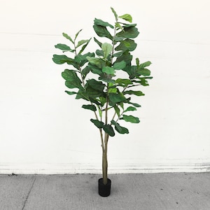 May include: An artificial fiddle-leaf fig tree with large, green leaves. The tree has a slender, brown trunk and is in a black pot. The leaves are broad and textured, giving a full, lush look. The tree stands against a white wall, creating a striking contrast.