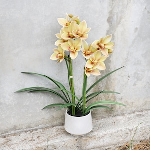 May include: A potted artificial orchid plant with yellow and brown flowers and green leaves. The plant is in a white ceramic pot.